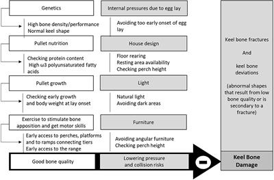 Welfare issues and potential solutions for laying hens in free range and organic production systems: A review based on literature and interviews